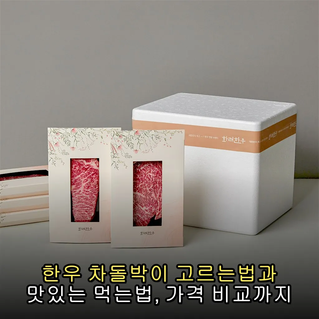 한우 차돌박이 고르는법과 맛있는 먹는법, 가격 비교까지