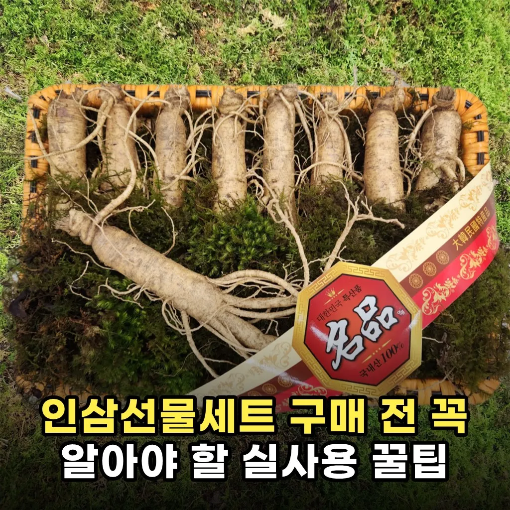 인삼선물세트 구매 전 꼭 알아야 할 실사용 꿀팁