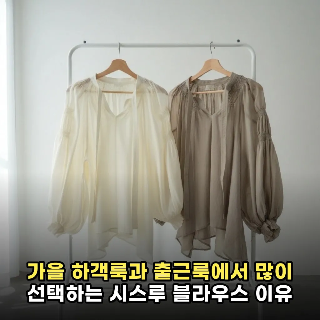 가을 하객룩과 출근룩에서 많이 선택하는 시스루 블라우스 이유