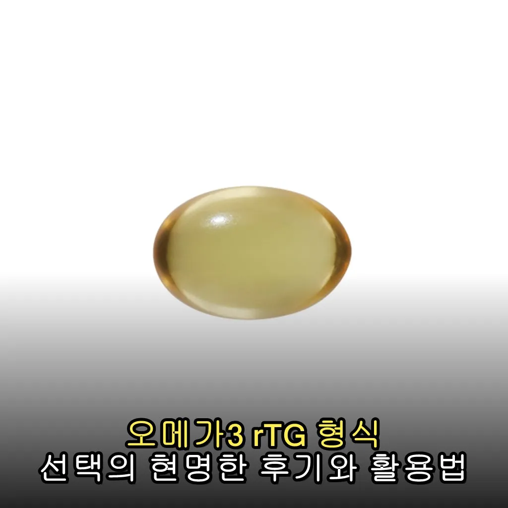 오메가3 rTG 형식 선택의 현명한 후기와 활용법