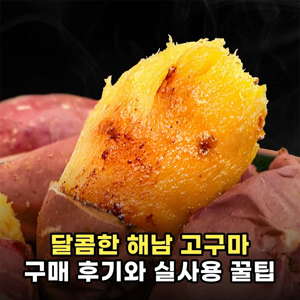 달콤한 해남 고구마 구매 후기와 실사용 꿀팁