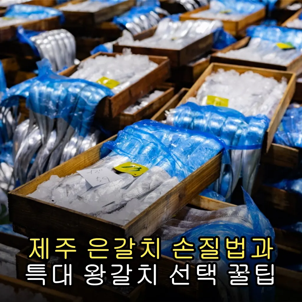 제주 은갈치 손질법과 특대 왕갈치 선택 꿀팁
