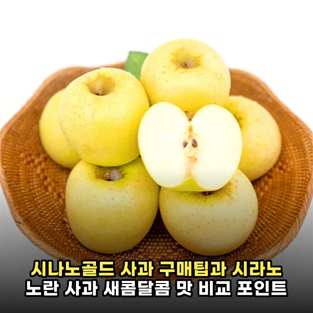 시나노골드 사과 구매팁과 시라노 노란 사과 새콤달콤 맛 비교 포인트