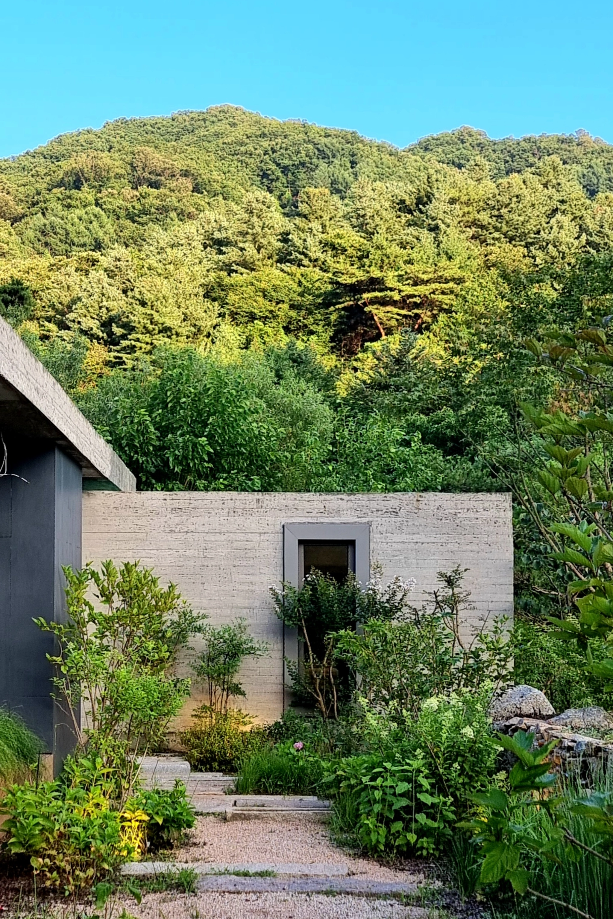 송정재 정원의 판석과 잔자갈 보행로, 다양한 수목과 초화류, 세로형 창이 있는 노출콘크리트 벽체, 오른쪽 자연석 돌담장과 뒤편 산림의 모습.