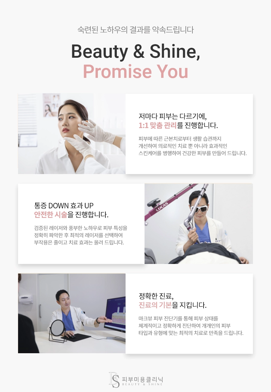 LDM이란 무엇인가요?