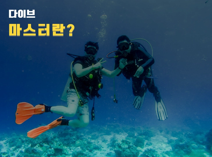 다이브 마스터란?