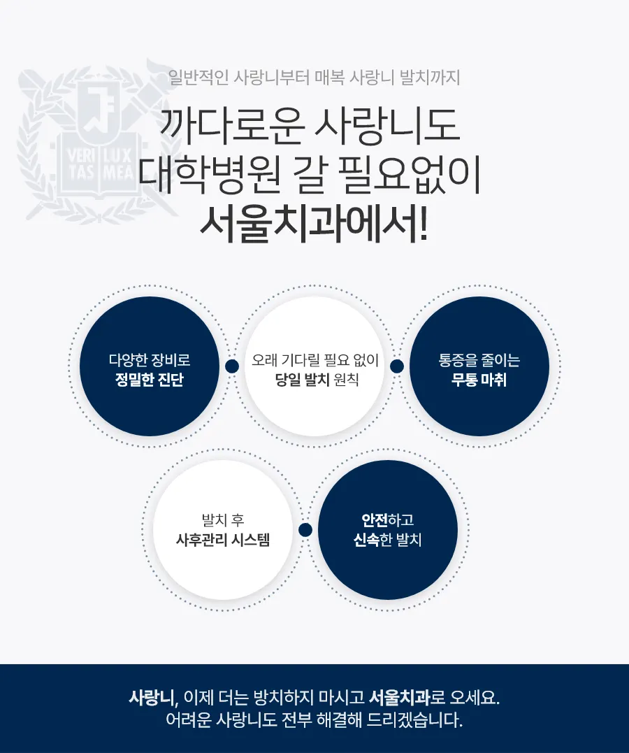 사랑니 발치 서울치과