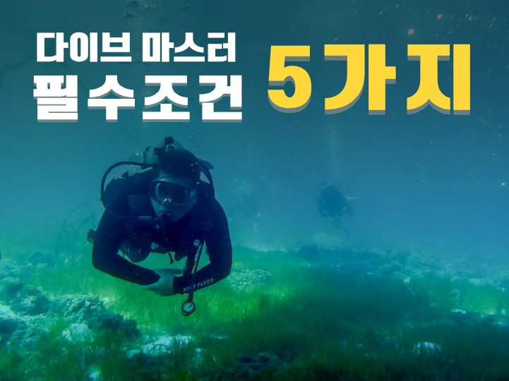 다이브 마스터 필수 조건 5가지