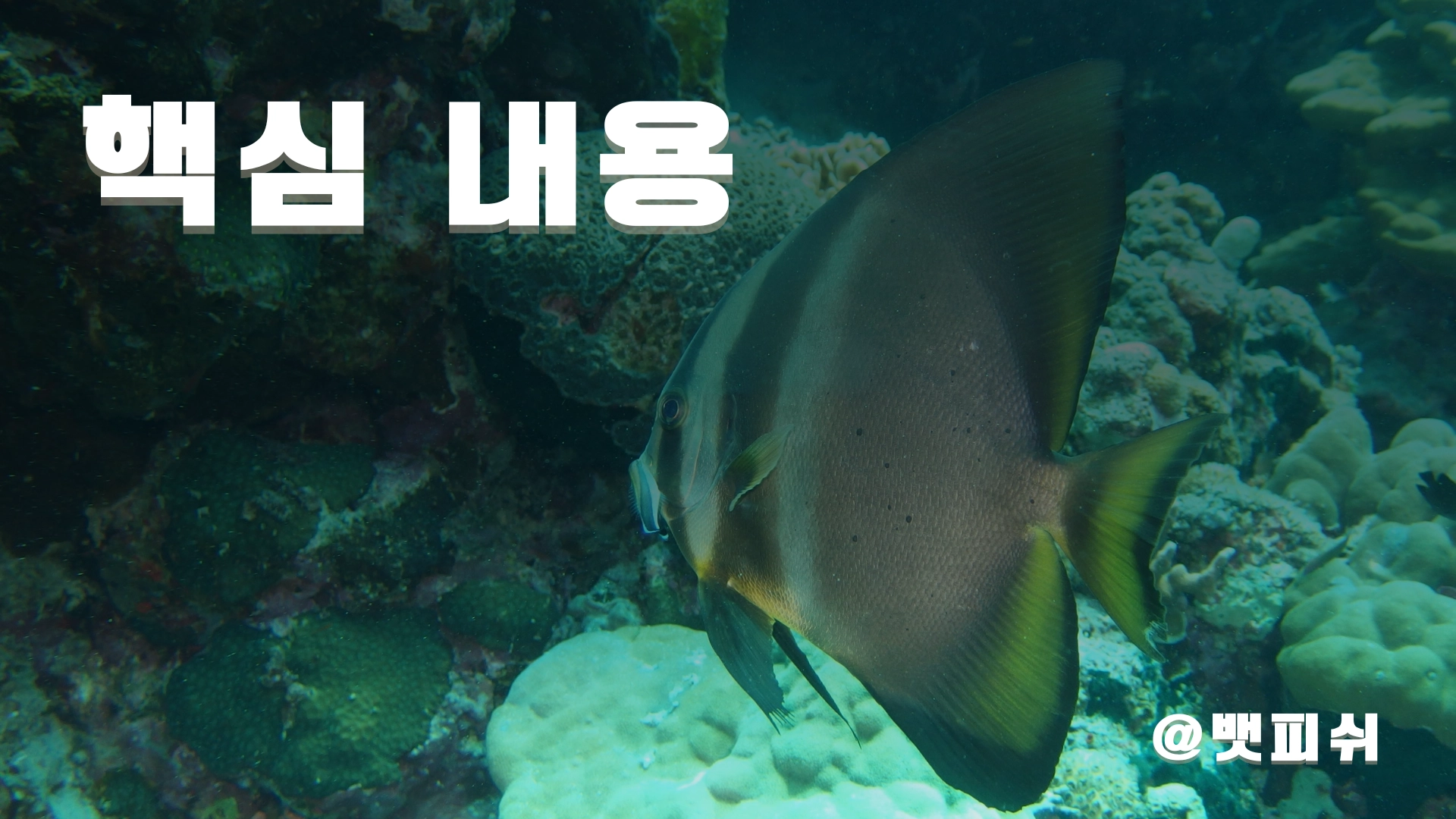 교보재 회수 후 교육 진행해야 하는 이유는?