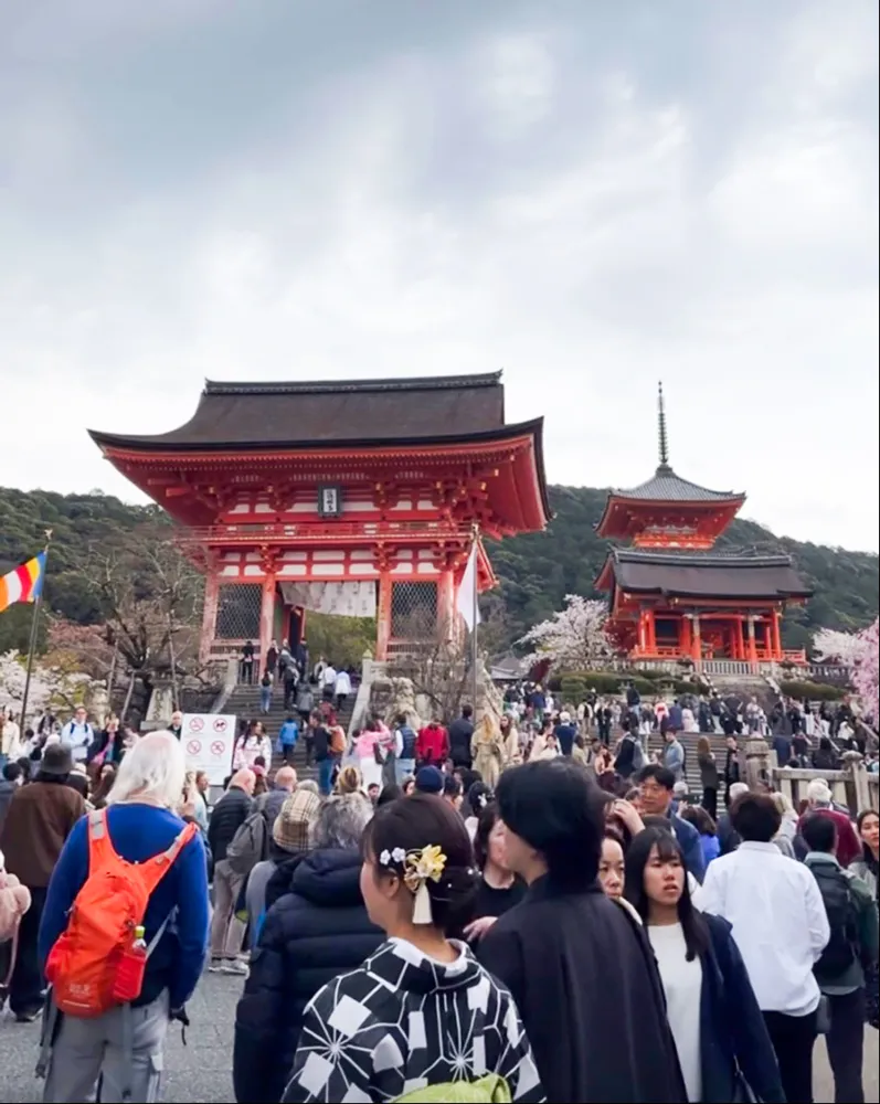 유네스코에 등록된 교토 청수사