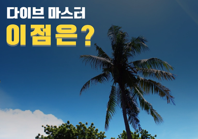 다이브마스터가 되면 뭐가 좋아요?