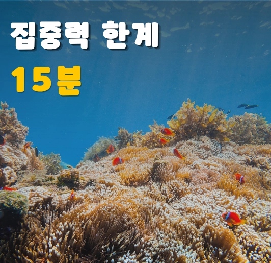 성인 최적의 집중력 시간 15분