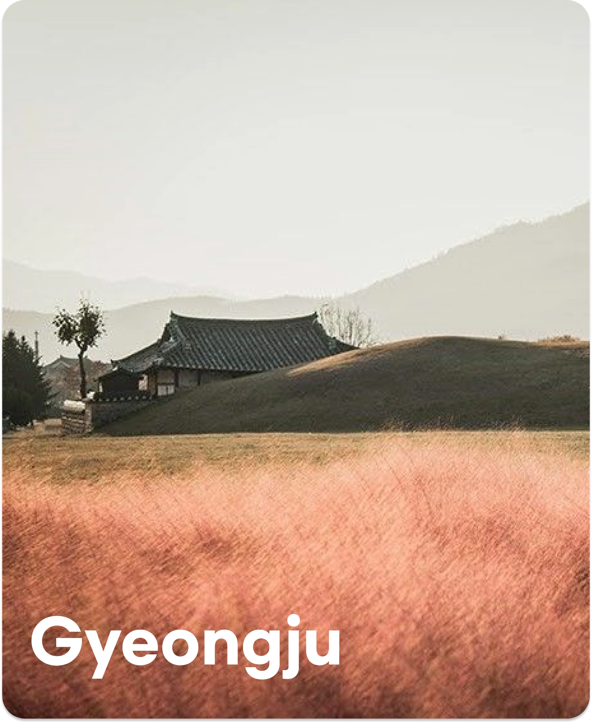 Gyeongju Workation