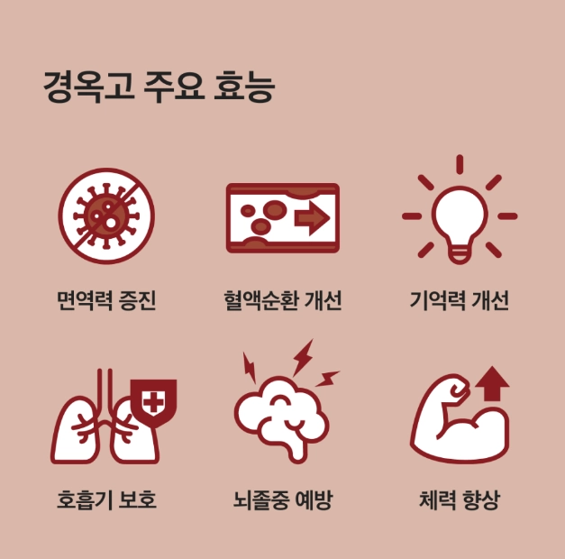 경옥고의 주요 효능