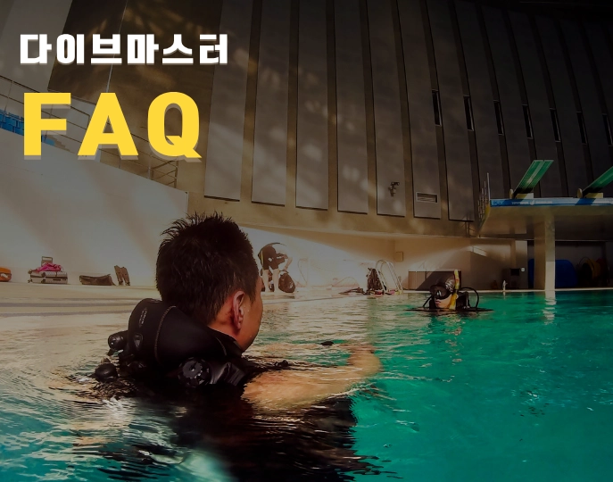 다이브 마스터 관련 FAQ