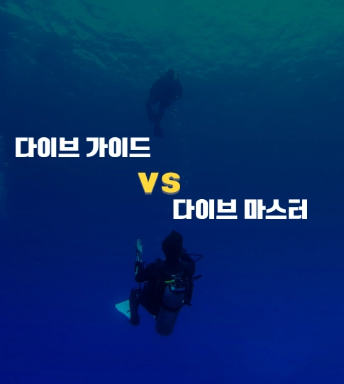 다이브 가이드, 다이브 마스터 비교