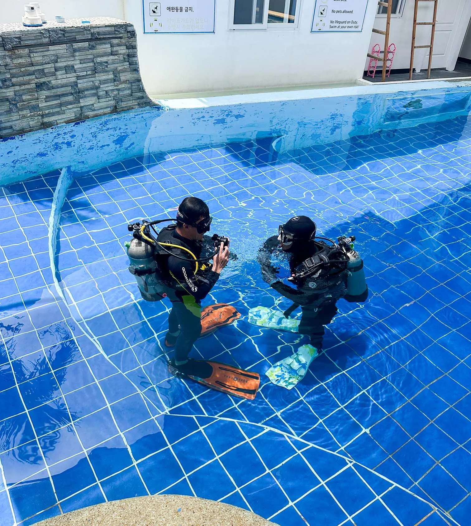 Beginner scuba diver training in Cebu – 세부 초보 다이버 교육 기록