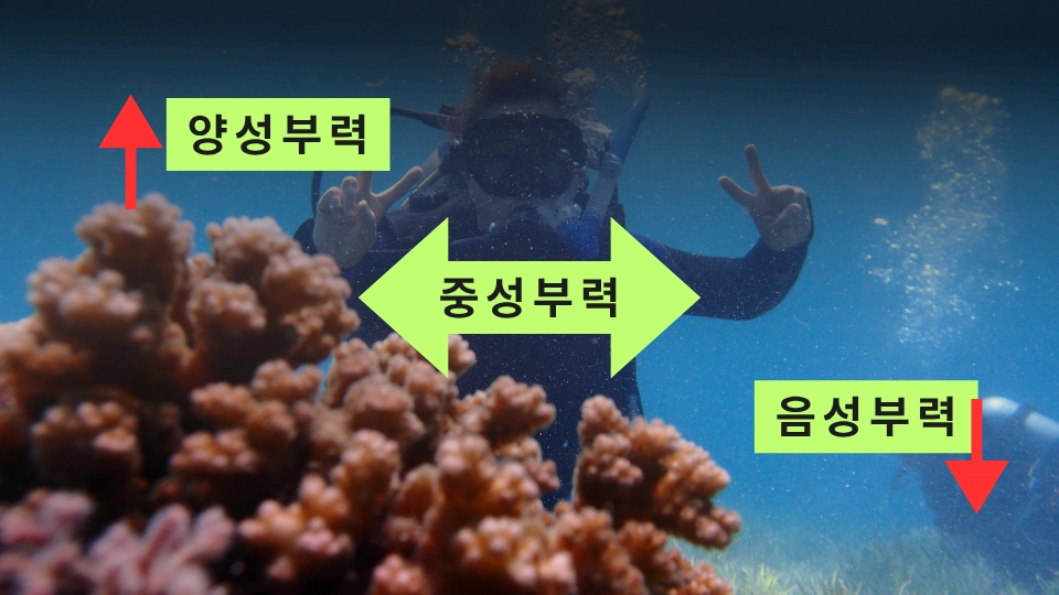 부력의 3가지 종류