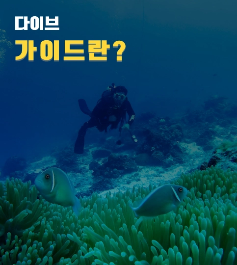 다이브 가이드란 무엇인가?