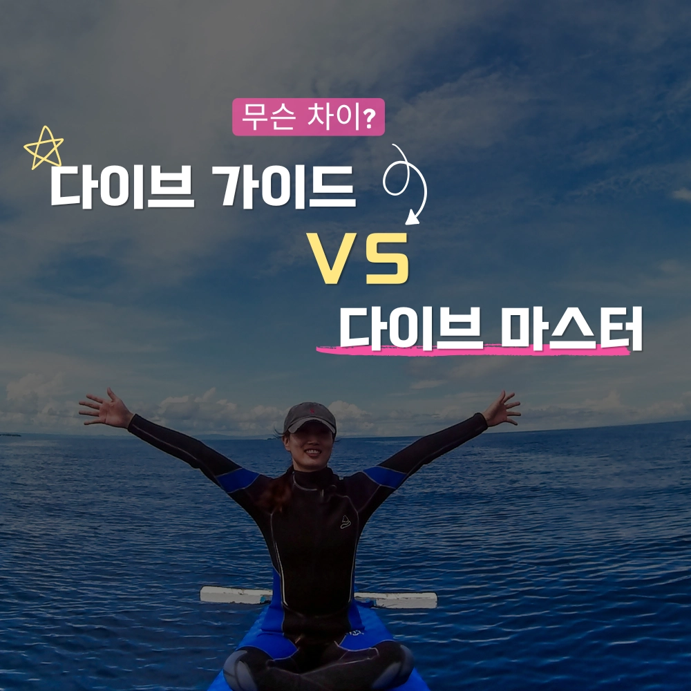 다이브 가이드, 다이브 마스터 차이