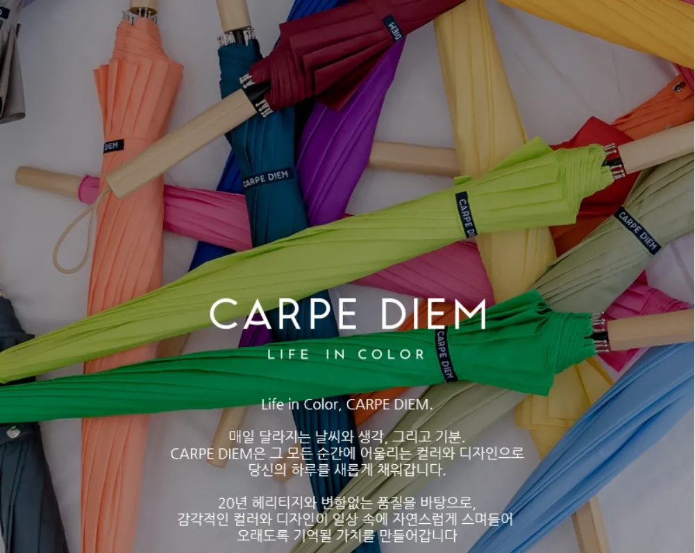 카르페디엠(CARPE DIEM) 프리미엄 장우산 판촉물 제작 이미지. 감각적인 파스텔 톤 컬러와 고급스러운 우드 핸들 디자인이 돋보이는 20년 전통의 우산 브랜드 소개.