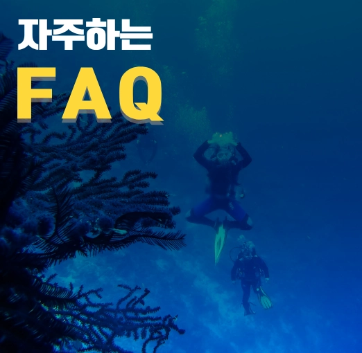 다이브 마스터 관련 자주하는 질문