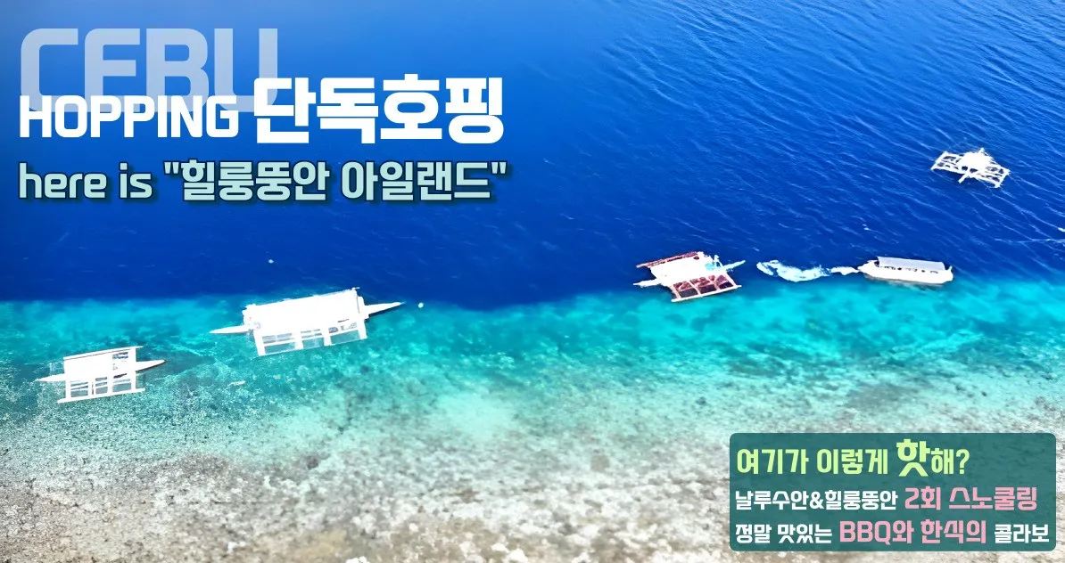 세부 플라워트리 단독 호핑 투어