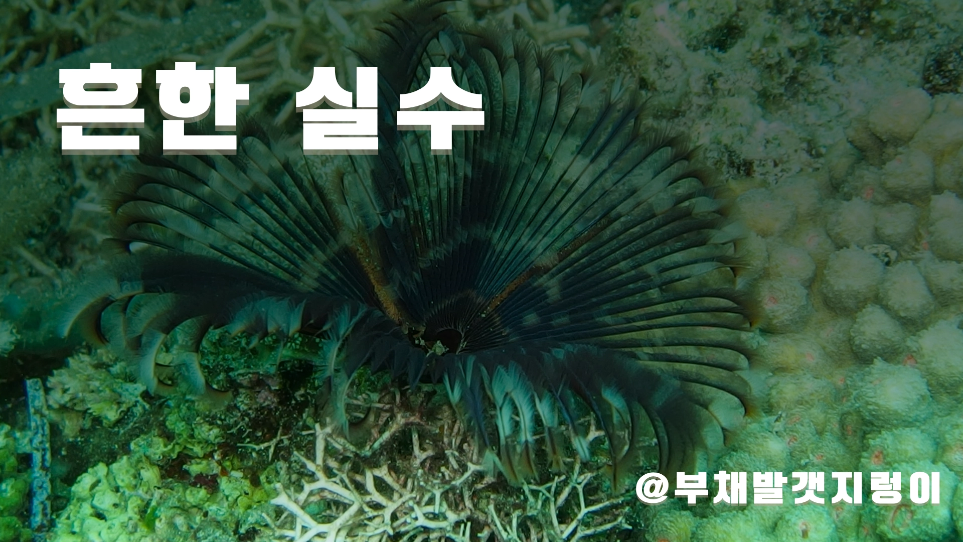 교보재를 활용한 교육 중 흔한 실수는?