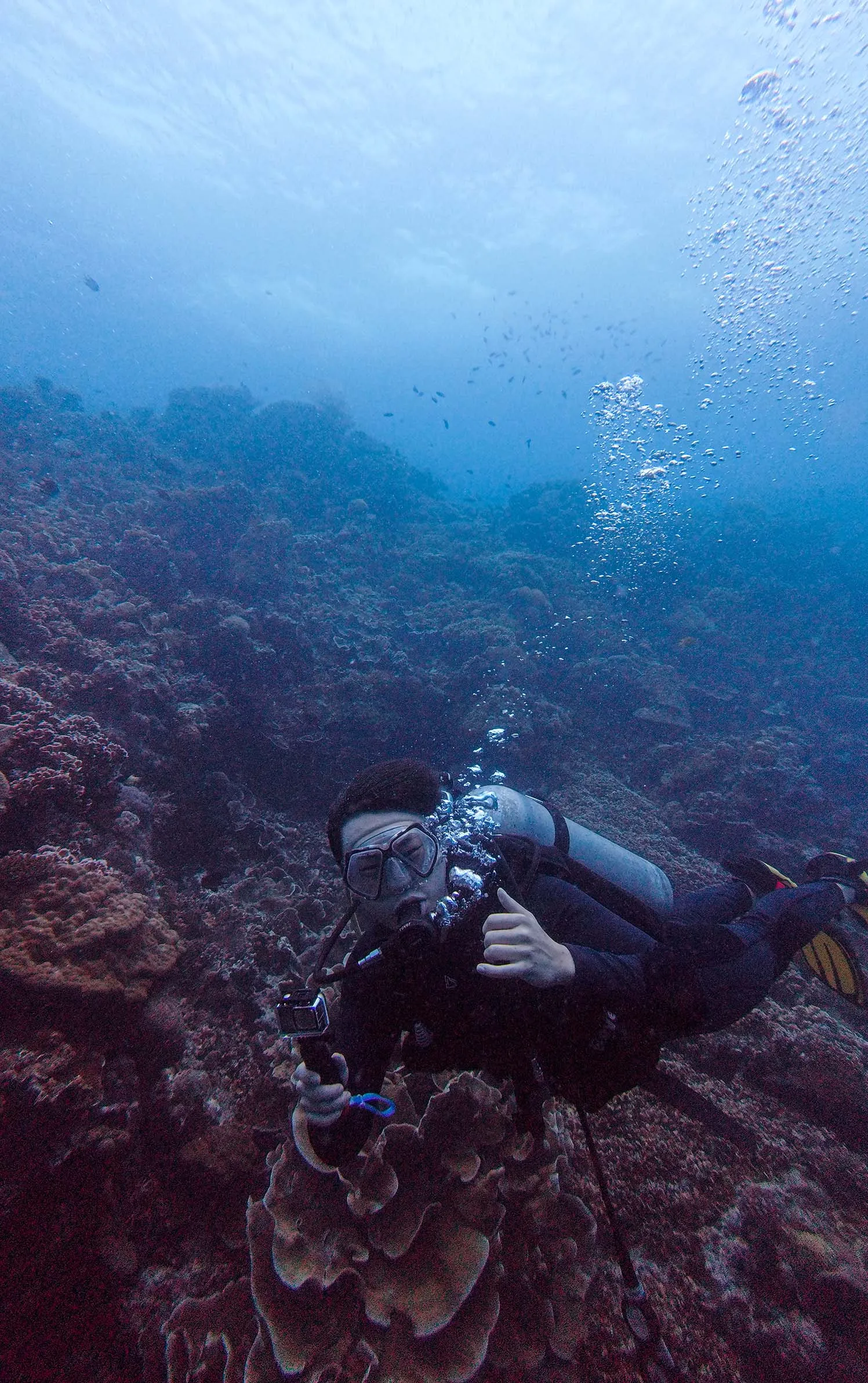 actioncam nalusuan dive. 액션캠 들고 있는 스쿠버 다이버