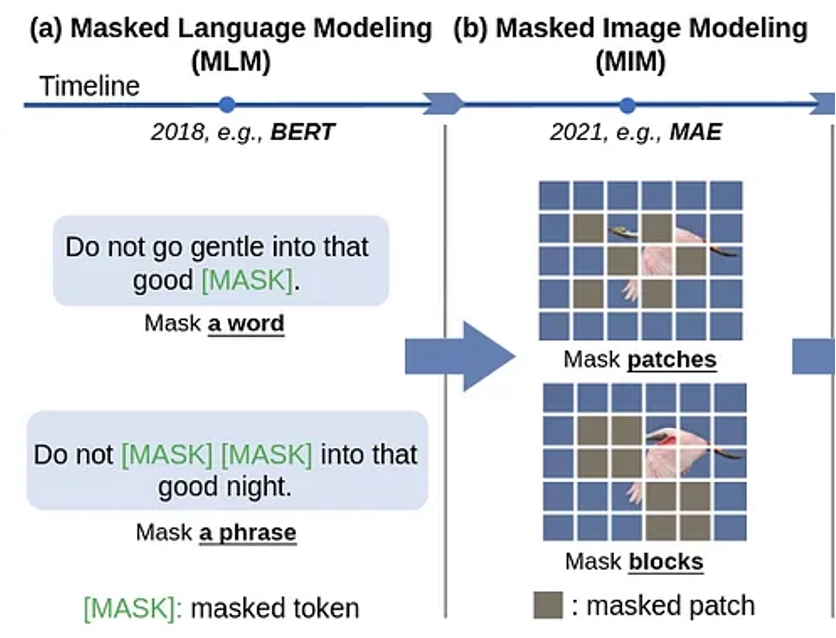 Eva Exploring EVA: Exploring the Limits of Masked Visual Representation Learning at Scale