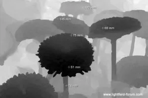Distance measurement based on depth data of a light field image, shown as a depth map overlay (illlustration)