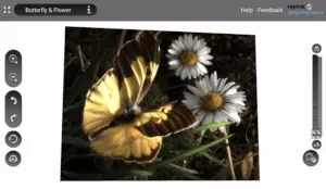 Depth scaling animation (screen capture of the Raytrix Light Field Viewer app for Android)