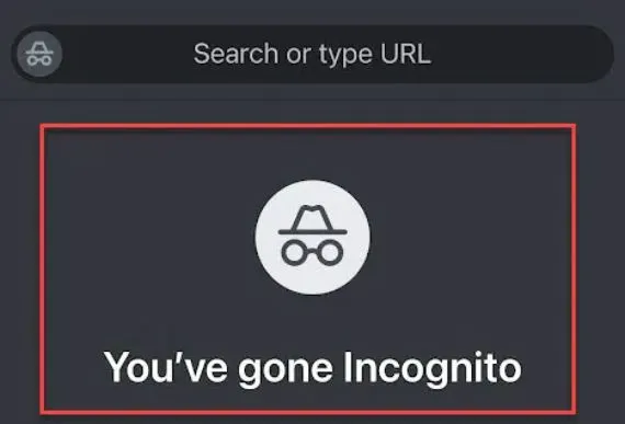 아고다 시크릿모드