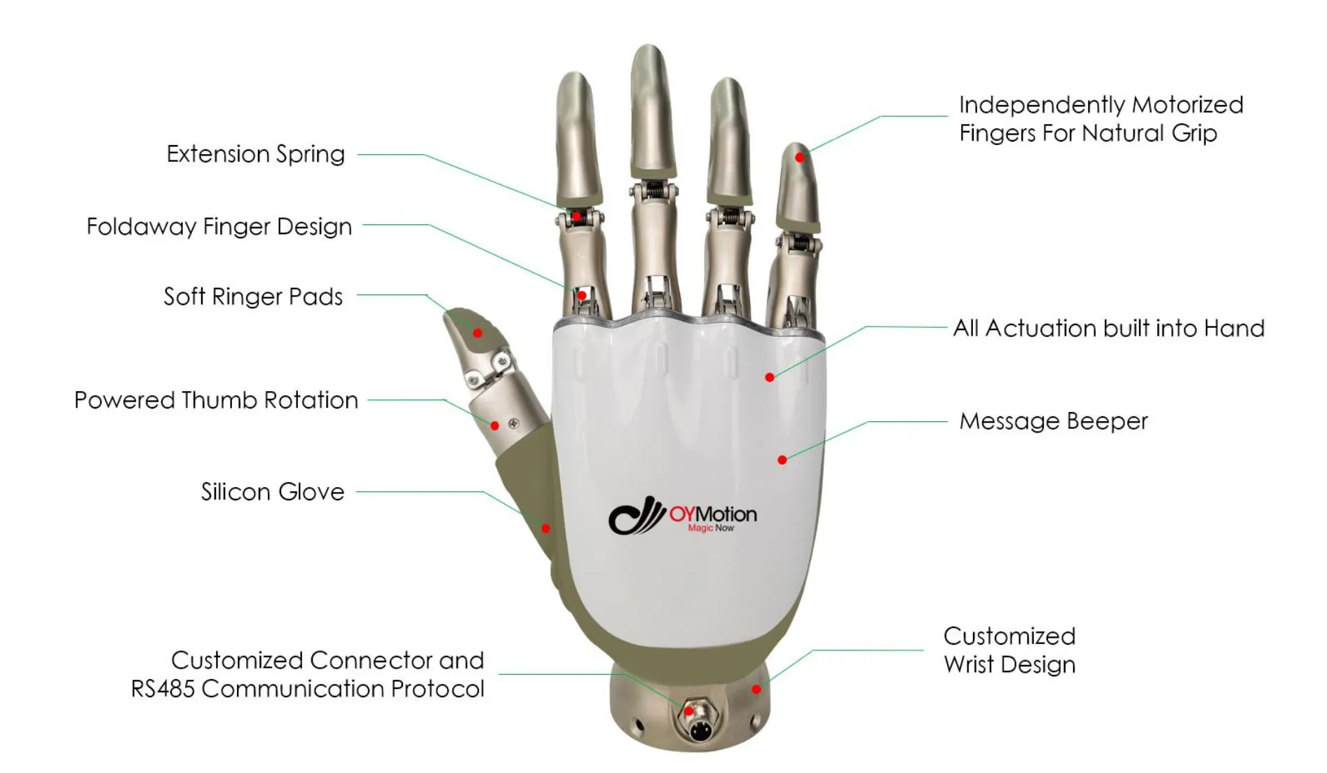 Dexerous humanoid robot hand (Ohand) - 세부명치