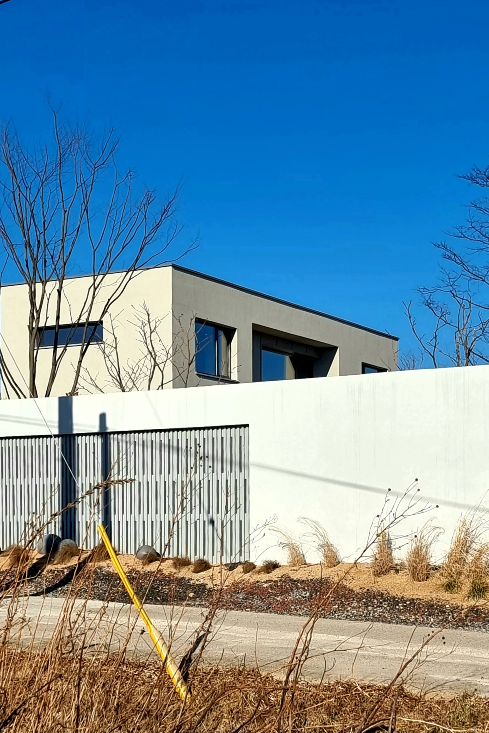 넓은 푸른 하늘 아래 긴 흰빛 담장과 세로 살 영역이 있는 노학담집. 뒤편 건물의 창과 지붕선, 잎 없는 나무, 전경의 마른 풀과 도로가 보인다.