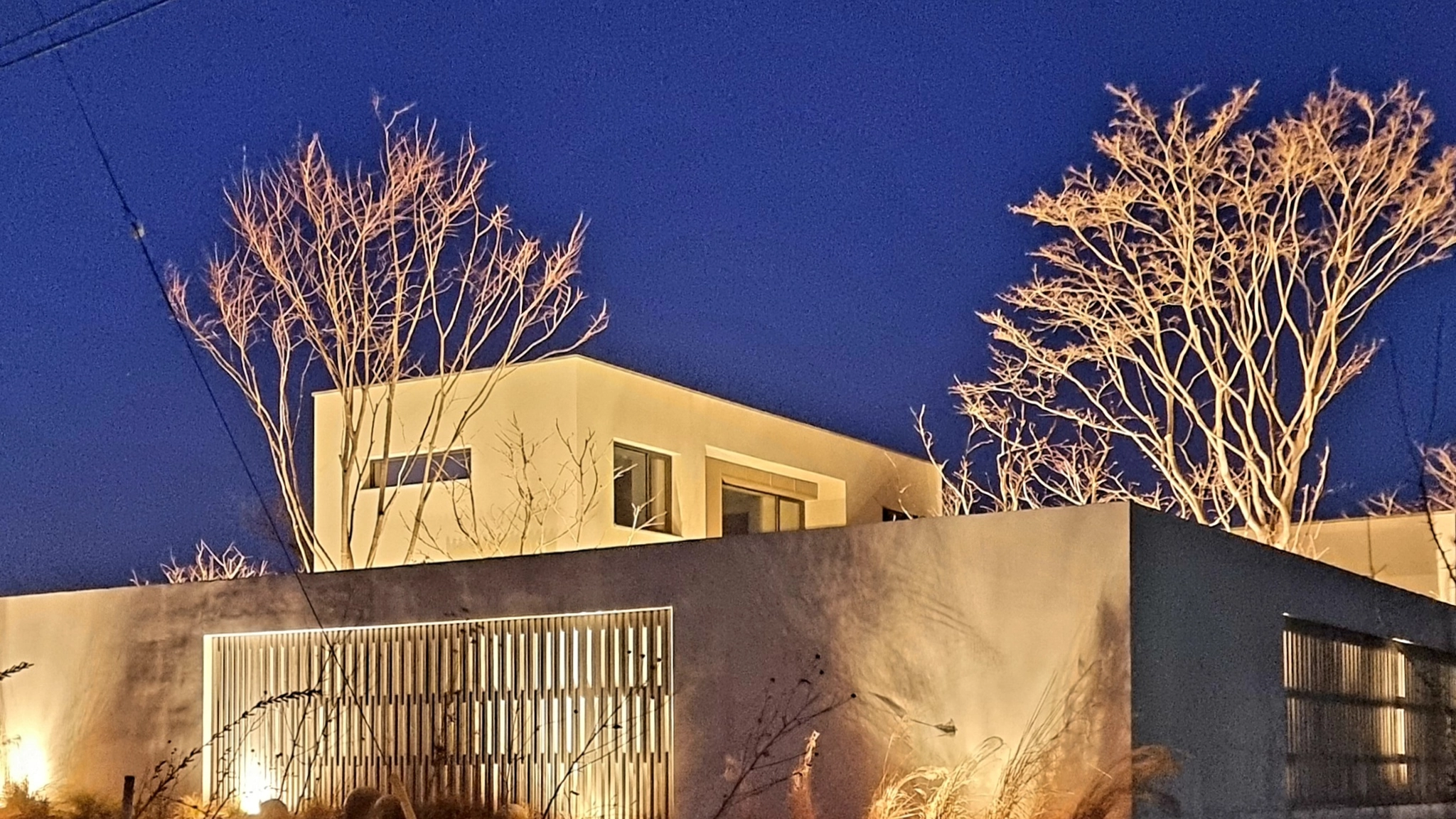 짙은 푸른 밤하늘 아래 조명을 받은 노학담집. 밝게 드러난 나뭇가지와 건물 상부, 세로 살 담장과 벽면의 식물 그림자가 보인다.