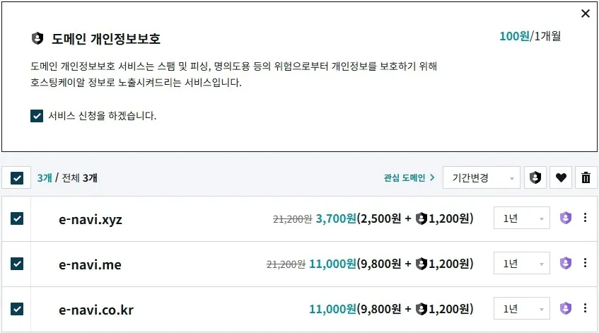 도메인 구매 내역