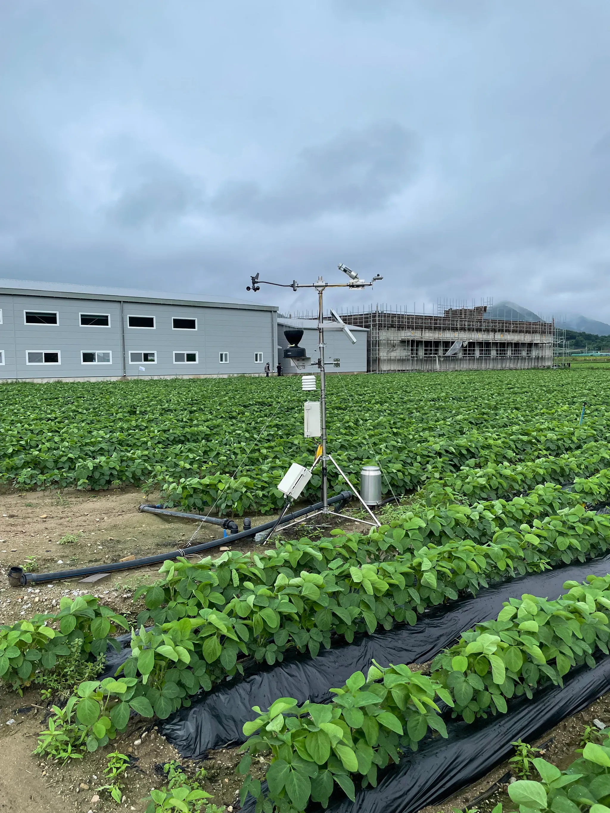 자동기상관측장비 (Automated Weather Station - Smartfarm) - 출처 (본인)