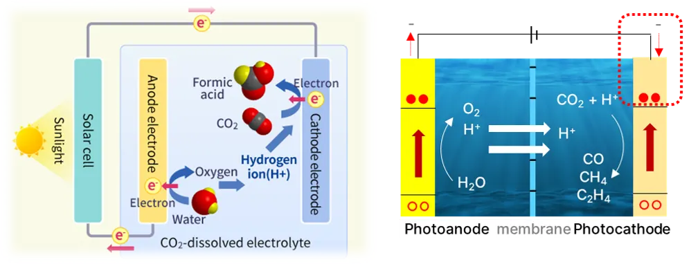 연구 관련 이미지