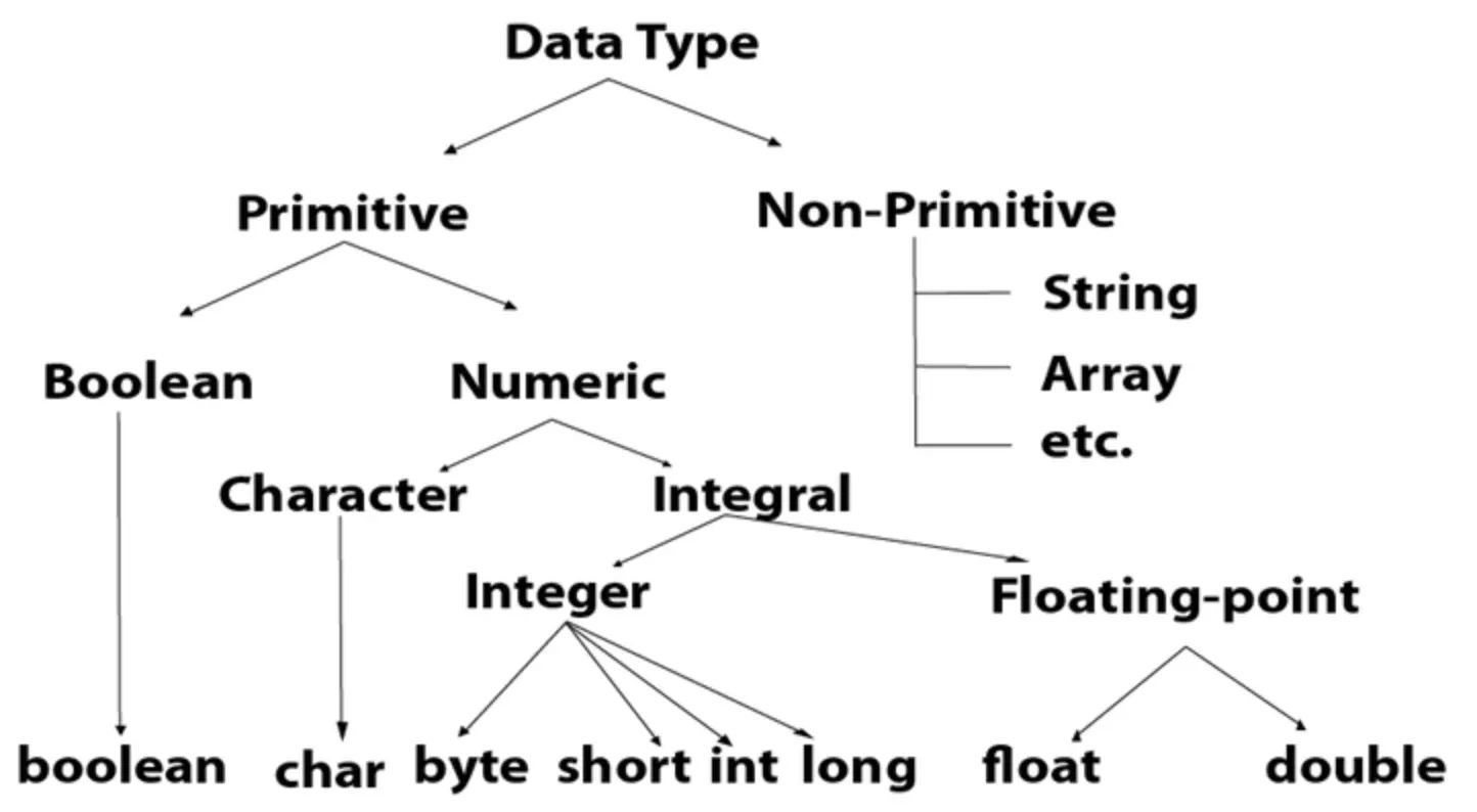 Java Primitive type 에 대해 알아보자 (용어정리)