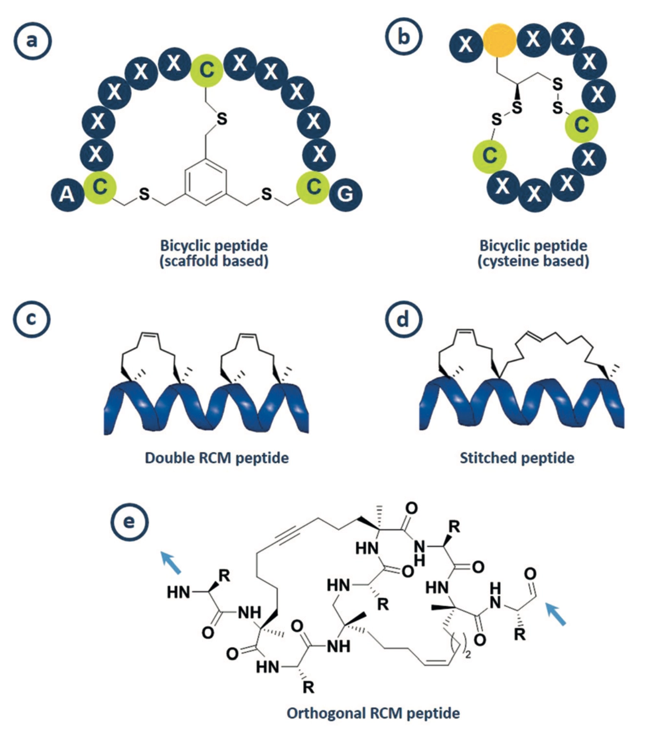 New Modalities for Challenging Targets in Drug Discovery 논문 리뷰